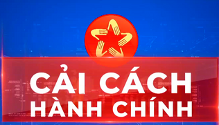 Văn bản triển khai công tác cải cách hành chính năm 2026
